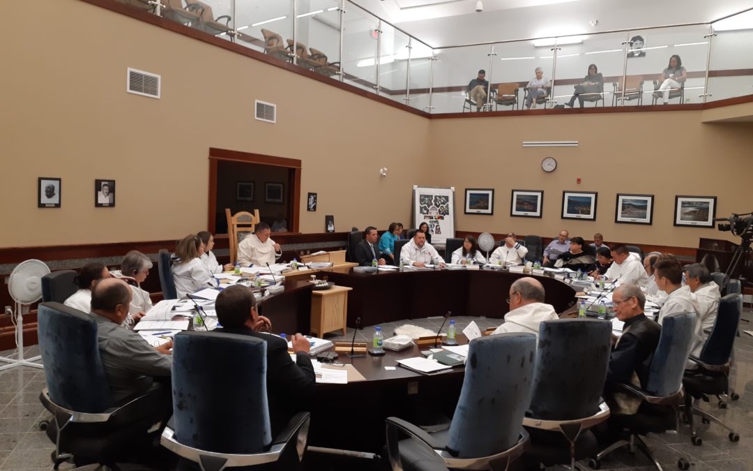 NGC/LICST presents to Nunatsiavut Assembly 2018